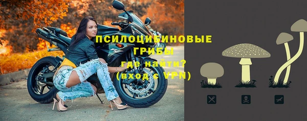 марихуана Новозыбков