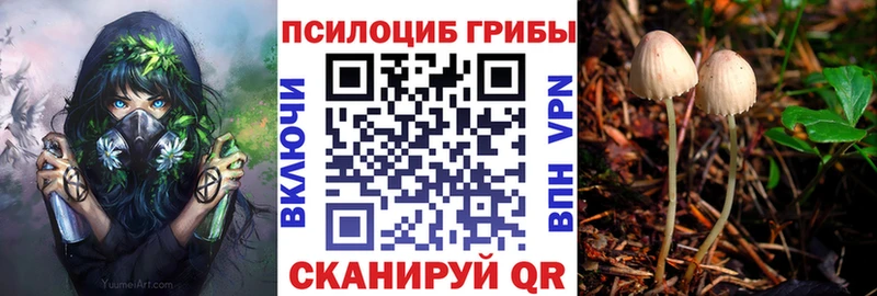 как найти закладки Нягань Галлюциногенные грибы прущие грибы
