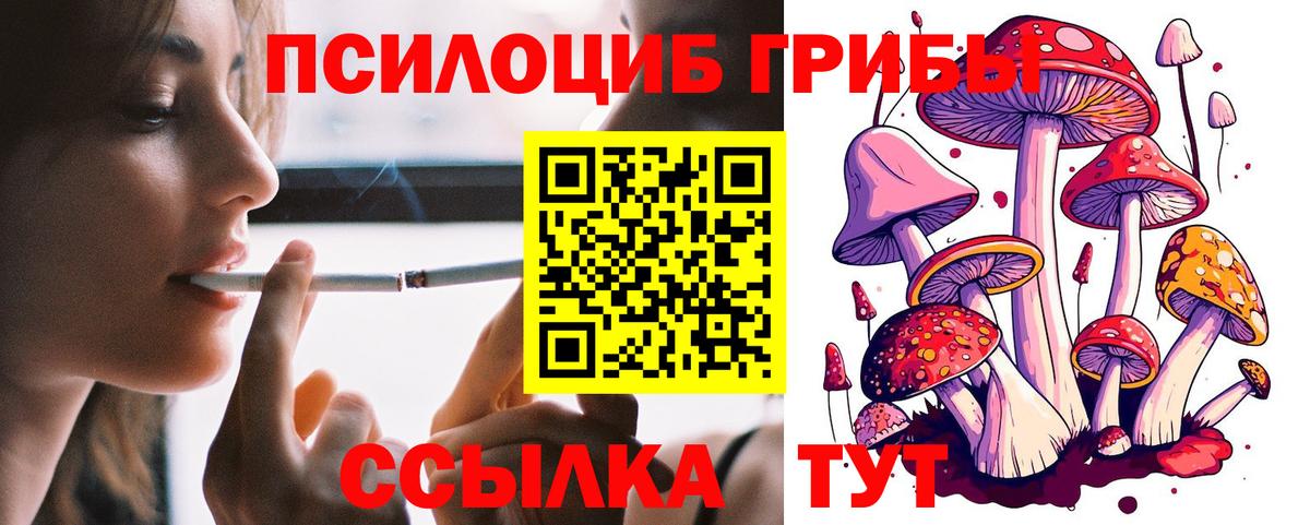 Нягань  Галлюциногенные грибы Psilocybine cubensis  Вход с VPN  Псилоцибиновые грибы MAGIC MUSHROOMS 