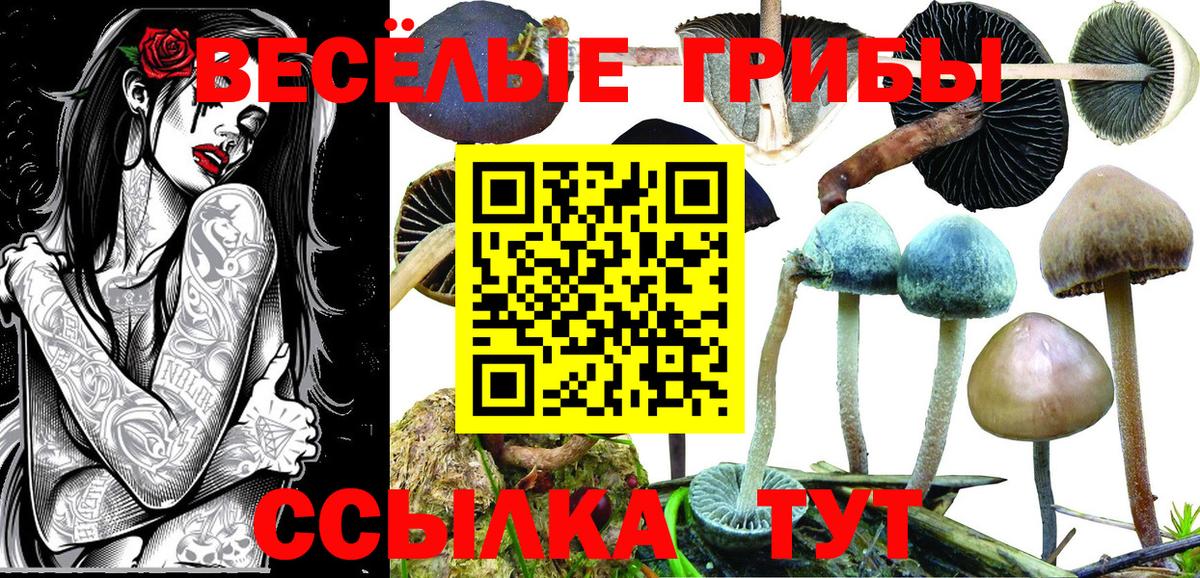 Галлюциногенные грибы прущие грибы Нягань